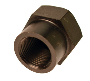 Nut, Clutch Hub with Seal (All Splined Transmission Mainshafts) - Rivera Primo