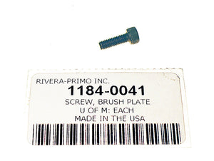 Screw, Brush Plate M4 X 12 SOCKET HEAD - Rivera Primo